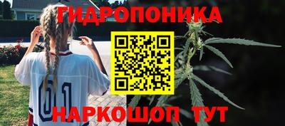 дурь Можга