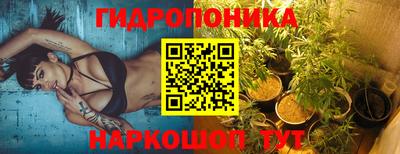 дурь Можга