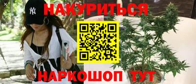 спиды Моздок